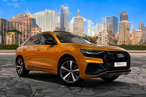 AUDI Q8 di&eacute;sel de ocasi&oacute;n