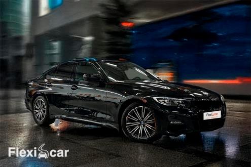 BMW Serie 3 318d segunda mano