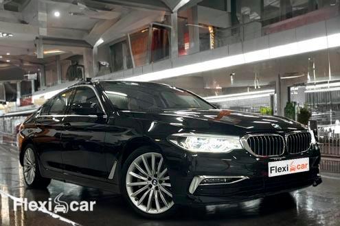 BMW Serie 5 520d de ocasi&oacute;n