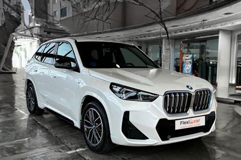 BMW X1 de ocasi&oacute;n