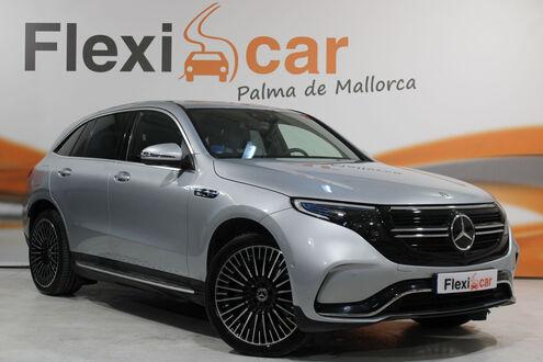 Familiar el&eacute;ctrico ocasi&oacute;n