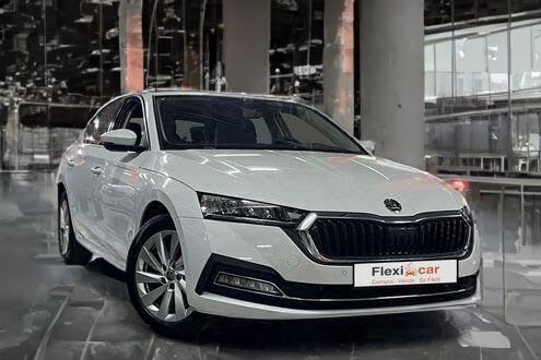Skoda de ocasi&oacute;n
