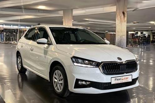 Skoda de segunda mano