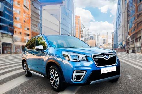 Subaru Forester h&iacute;brido no enchufable ocasi&oacute;n