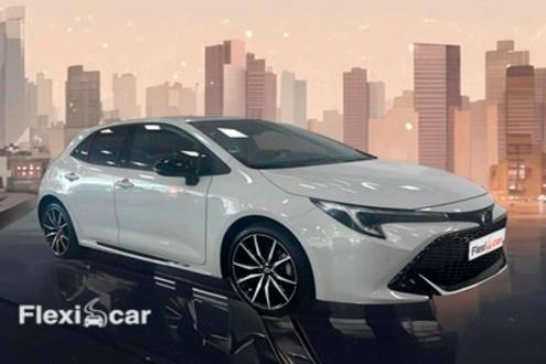Toyota h&iacute;brido enchufable de ocasi&oacute;n